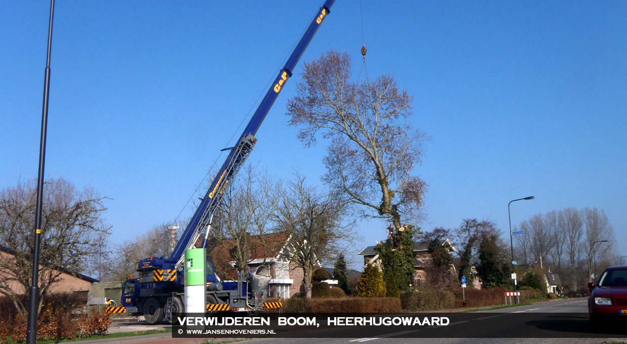 Verwijderen boom, Heerhugowaard