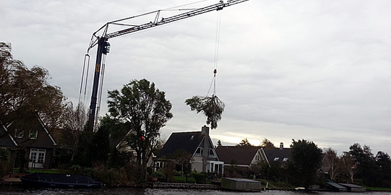 http://www.jansenhoveniers.nl/wp-content/uploads/2013/01/header-boomverzorging-570-285-02.jpg