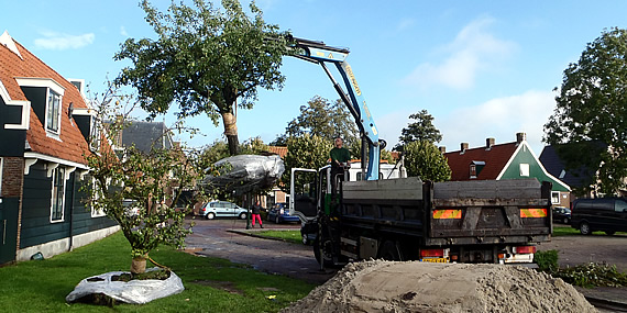http://www.jansenhoveniers.nl/wp-content/uploads/2013/01/header-boomverzorging-570-285-03.jpg