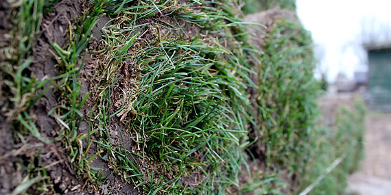 http://www.jansenhoveniers.nl/wp-content/uploads/2013/01/header-graszoden-570-285-01.jpg