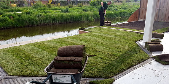 http://www.jansenhoveniers.nl/wp-content/uploads/2013/01/header-graszoden-570-285-02.jpg