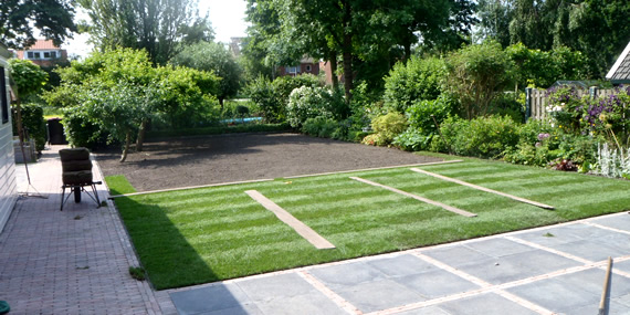http://www.jansenhoveniers.nl/wp-content/uploads/2013/01/header-graszoden-570-285-03.jpg