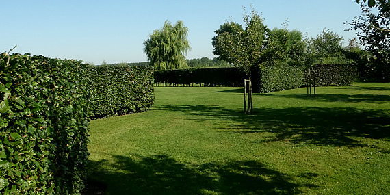 http://www.jansenhoveniers.nl/wp-content/uploads/2013/01/header-tuinonderhoud-570-285-02.jpg