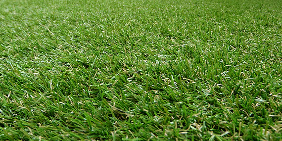 http://www.jansenhoveniers.nl/wp-content/uploads/2014/01/header-jardenokunstgras-570-285-02.jpg