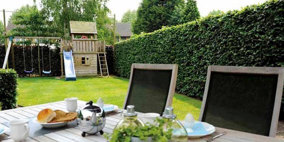 http://www.jansenhoveniers.nl/wp-content/uploads/2014/05/header-quickhedge-570-285-03.jpg
