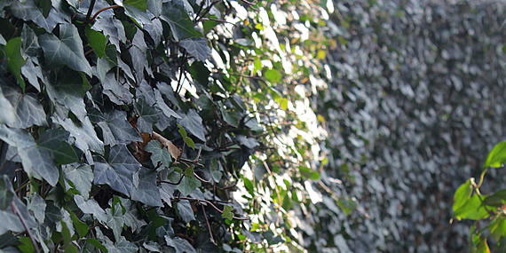 http://www.jansenhoveniers.nl/wp-content/uploads/2014/07/header-mobilane-570-285-03.jpg