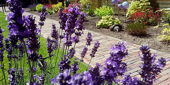 http://www.jansenhoveniers.nl/wp-content/uploads/2014/11/header-beplanting-570-285-001.jpg