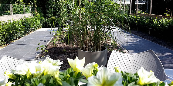 http://www.jansenhoveniers.nl/wp-content/uploads/2014/11/header-beplanting-570-285-002.jpg