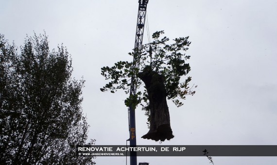 2013-10-25-renovatietuinderijp05