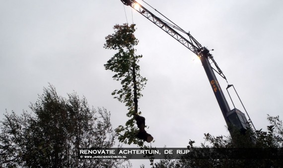 2013-10-25-renovatietuinderijp06